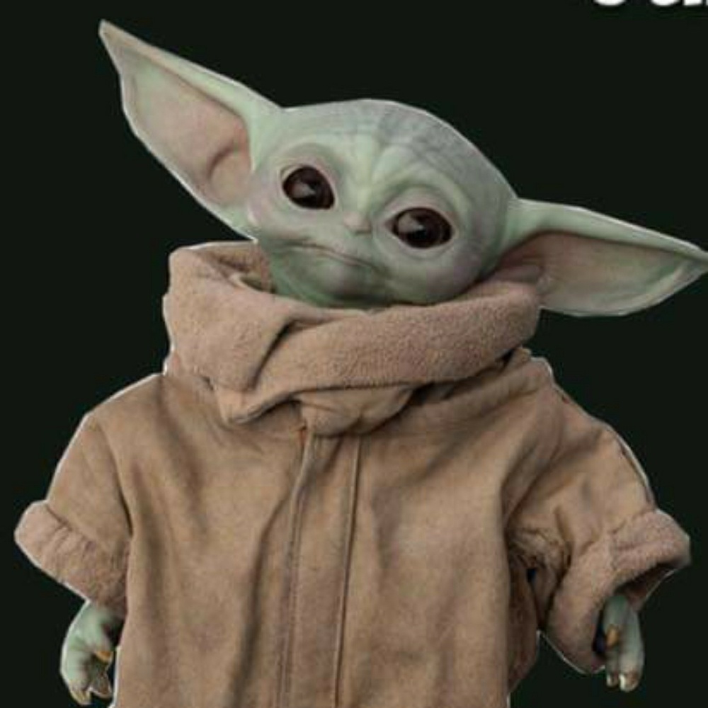 Meet your Posher, William